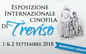 esposizione cinofila treviso fiere santa lucia 03