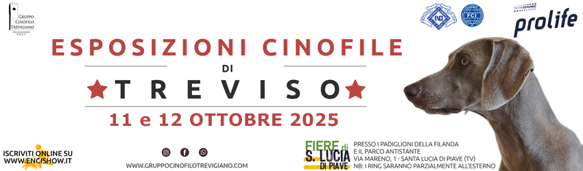 expo cinofila treviso